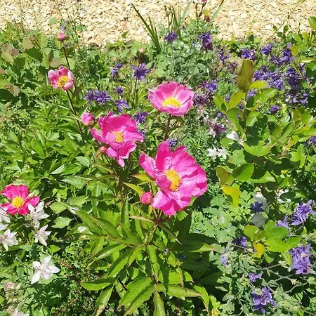 Roomantic Rum i privatbostad