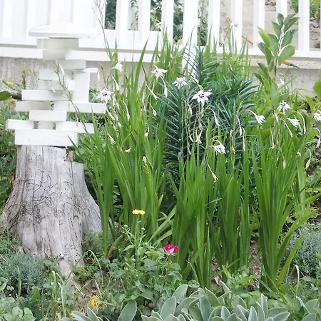 Privat bolig Roomantic