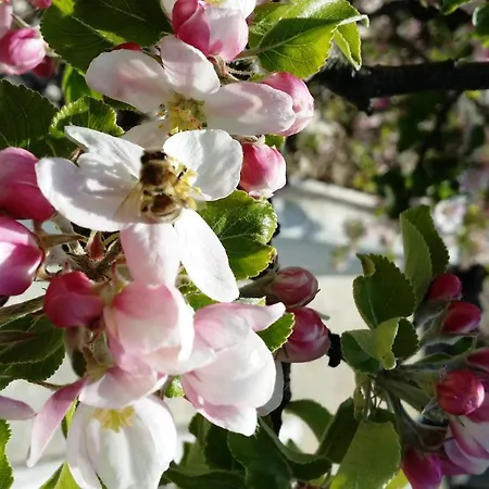 Roomantic Rum i privatbostad Bromberg