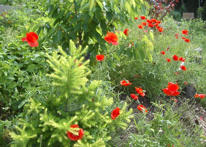 Homestay Roomantic Bromberg