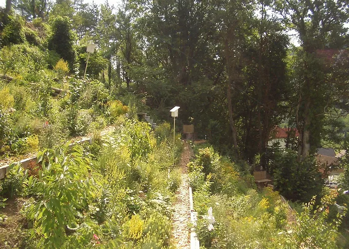 Homestay Roomantic *