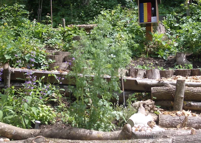 Roomantic Homestay Bromberg