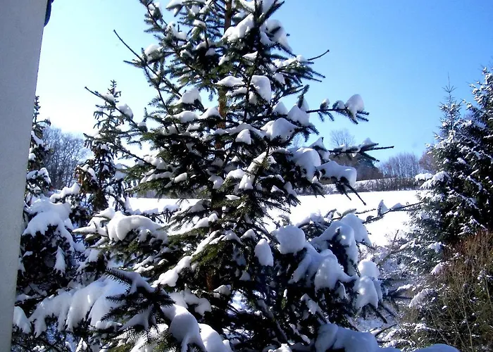 Roomantic Homestay Bromberg